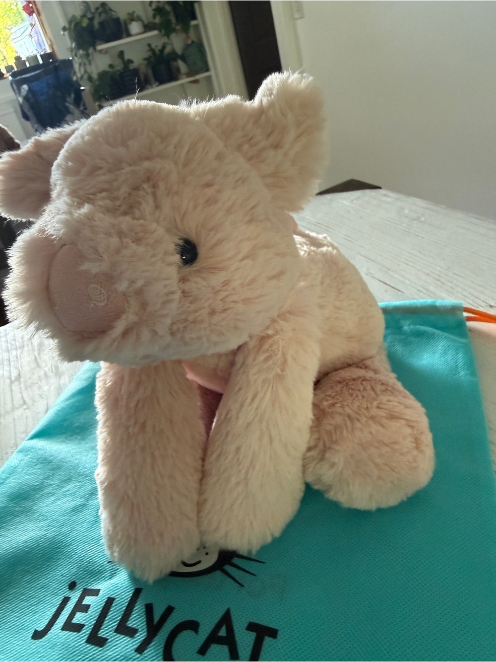 Jellycat Smudge Pig NWT